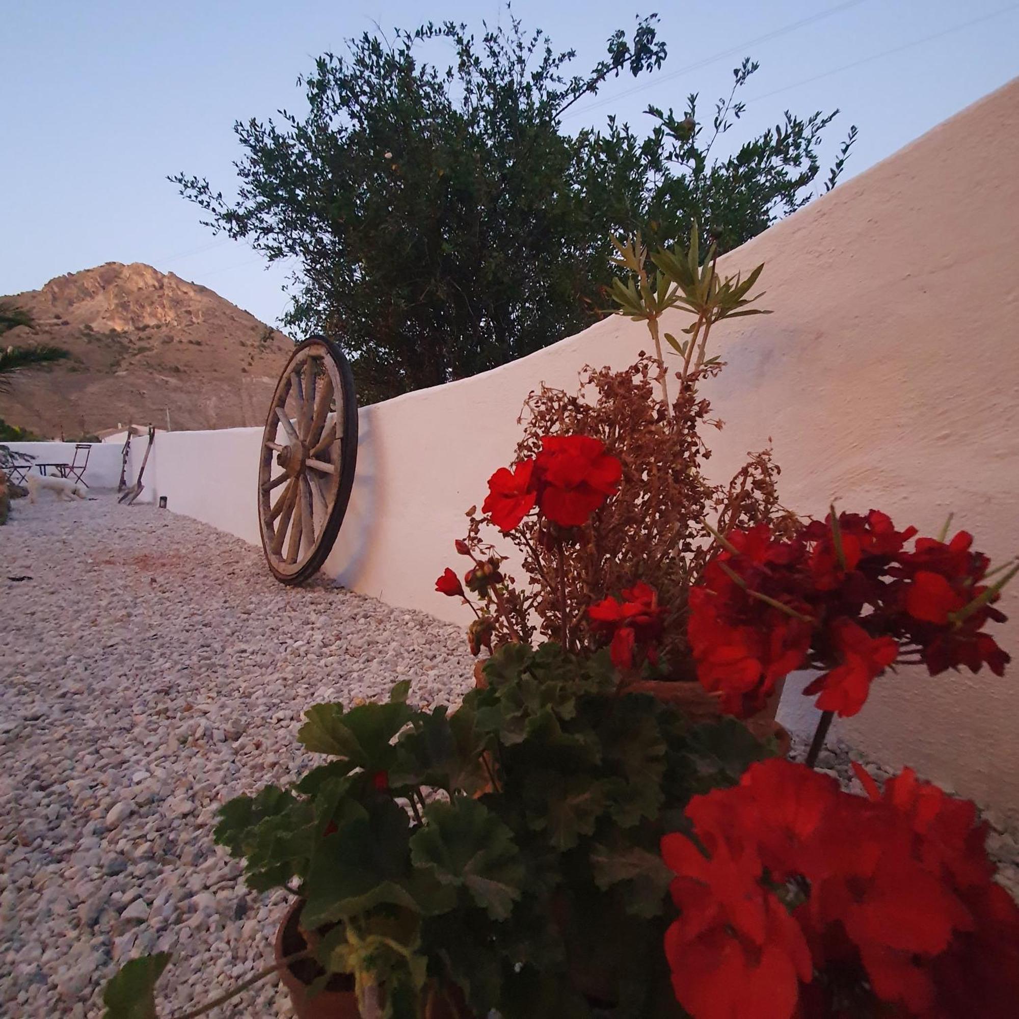 Casa Satori Bed & Breakfast Oria Екстериор снимка
